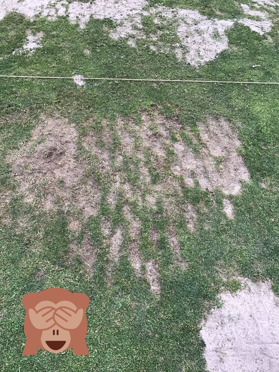 dyndagolf's tweet photo. PSA Some get it. Some don't. Please do the strips #conserveturf https://t.co/lxDVjYn3RO