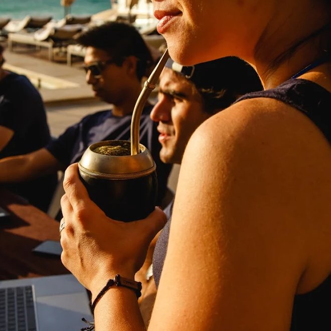 Trafilea tweet media