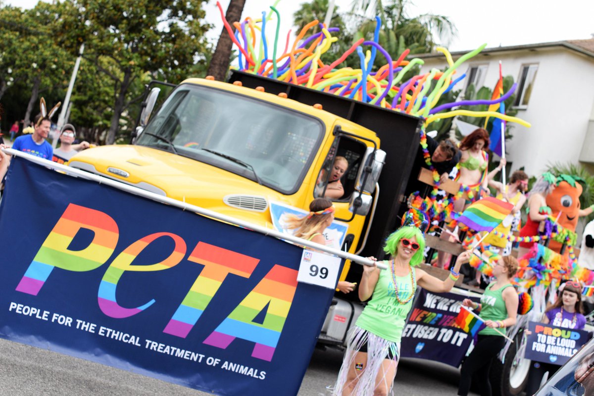peta's tweet photo. Happy Pride Month 🏳️‍🌈 RETWEET if you celebrate love &amp; compassion for ALL ❤️🧡💛💚💙💜 #PrideMonth https://t.co/UfgQQRGvYs