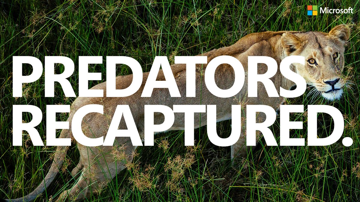 Escaped lions, tigers, and a jaguar, apprehended after escaping German zoo. http://msft.social/6AR2aL