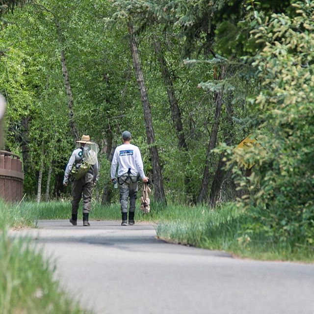 KeesToKitchen's tweet image. Gone fishin’ on a beautiful Thursday afternoon. #EagleRiver #Vail #Beavercreek #VailValley #Colorado ift.tt/2LODzet