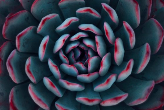 Music Service &amp; Congregational Meeting - St. Matt's This Week <a href="/laurenahodgson/">Lauren Hodgson</a> - mailchi.mp/e073107bfdc3/m…