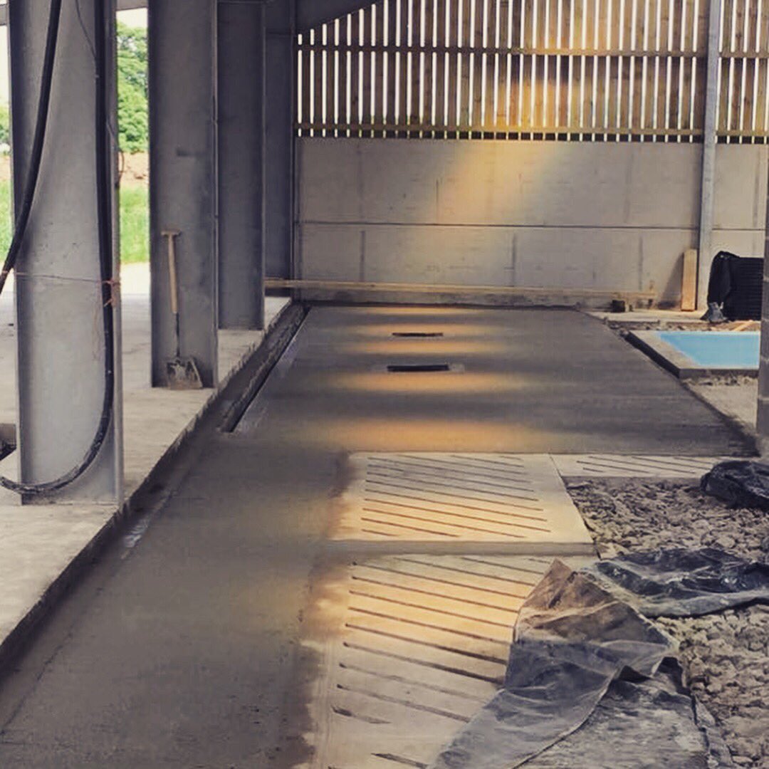 curlewdairy's tweet photo. More concreting done today 💪 this time in the sorting area and milking parlour. 30 loads of concrete done, roughly 10 to go, we are starting to see the light at the end of the tunnel! #cattleshed #underconstruction #diy #farmlife #dairyfarm #processingroom #farmdiversification https://t.co/RMRBziIsxj
