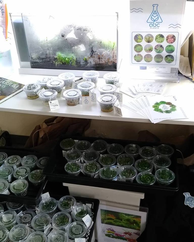 abc_plants's tweet photo. Gathering all our stuff together to head to Ajax this weekend. We'll have a few new sneak peek plants available for sale prior to general release! Join us on Sunday for the DRAS Aquariama 2018 at the Ajax Community Centre! https://t.co/JESZvHLSAb