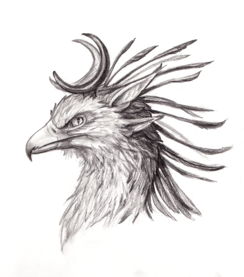 AuriScribbles (@auriscribbles) on Twitter photo 