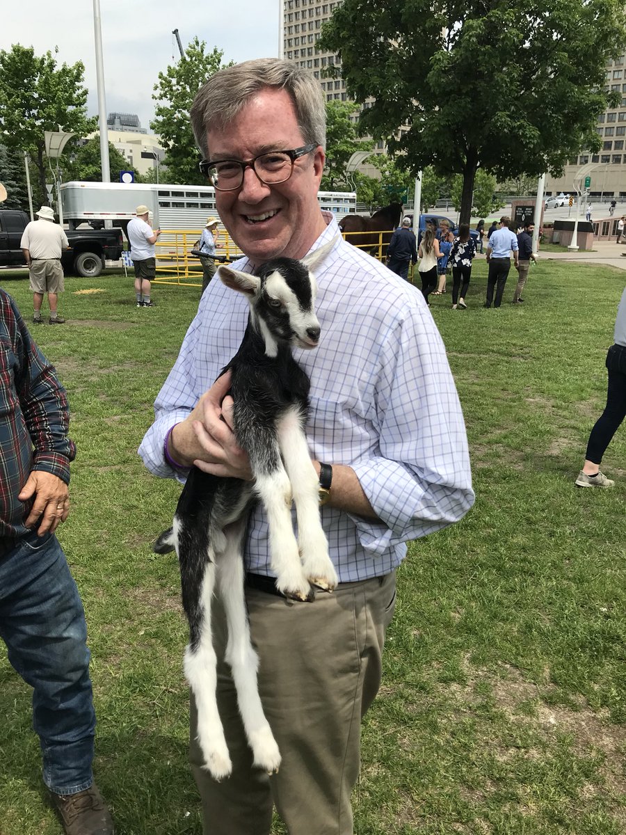 JimWatsonOttawa's tweet photo. Best part of the day?? Meeting this cute one - only 3 days old! #RuralExpo #FoodAid https://t.co/k4bpPyy74K