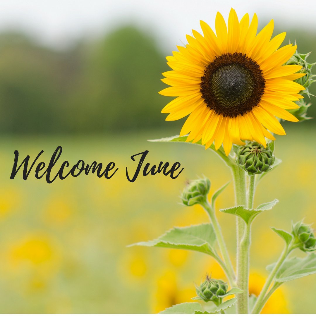 Welcome June! Thank you for giving us warmer days and longer nights! #June #June1 #WelcomeJune #HelloJune #Summer #SummerDays#SummerShopping #SummerClothes #SummerFashion #ShopCTPostMall