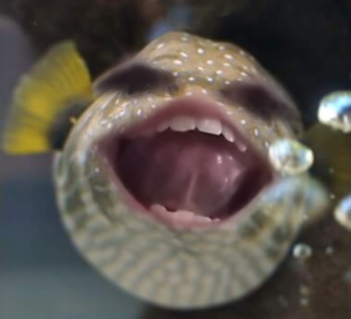 explosexual's tweet image. ;; writer reveal