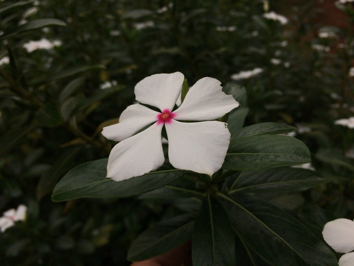 🌻🌻🌻 (@soymariale) on Twitter photo 