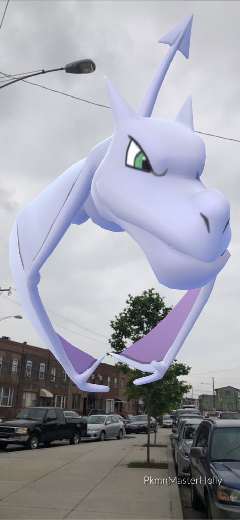 PkmnMasterHolly's tweet image. Regular video uploads resume tomorrow! I’m finally on the plane to Vegas WITH MY CAT!!!!! ✈️ 
Thank you everyone for your patience while I’ve been moving! 🙏❤️🙌

#PokemonGO #arplusmode