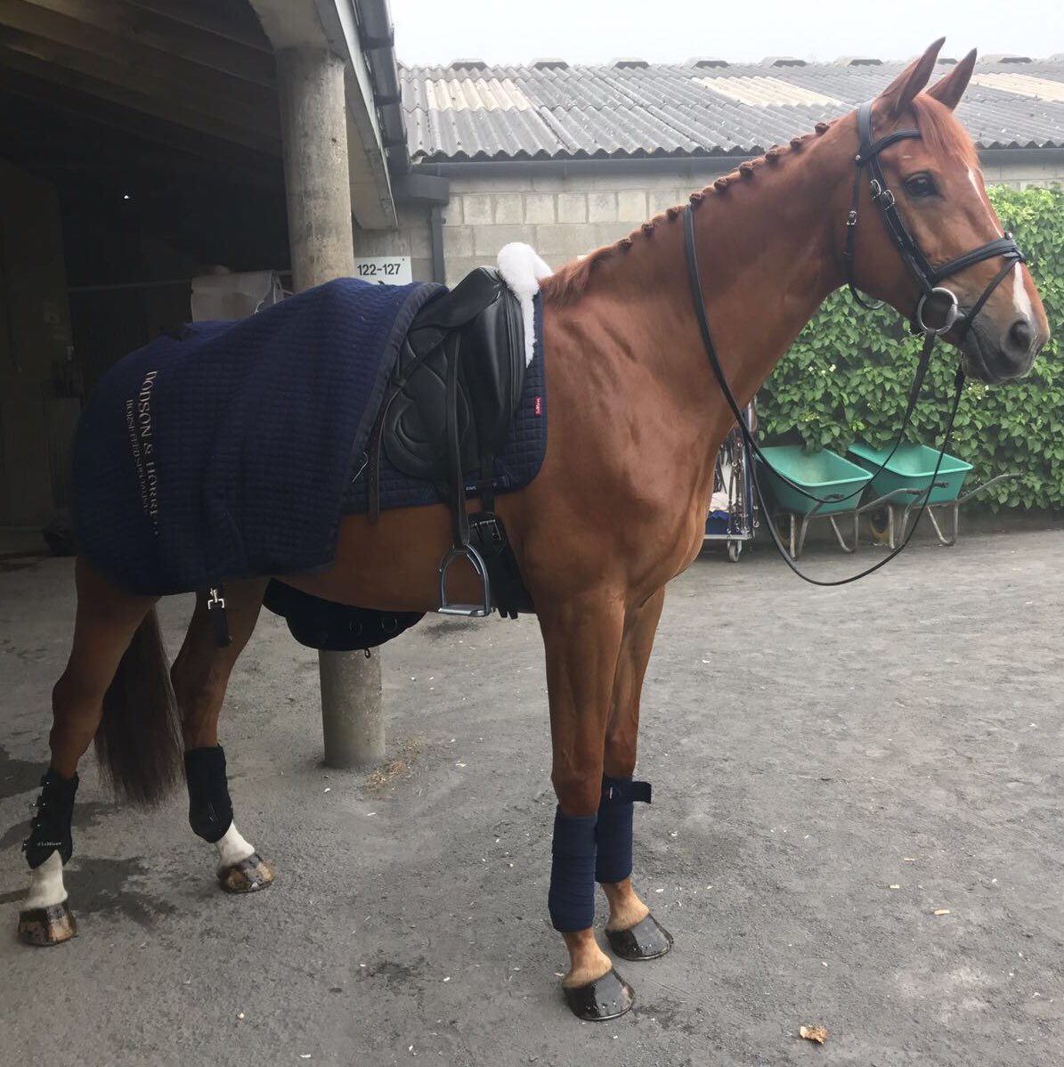 Tom McEwen tweet media