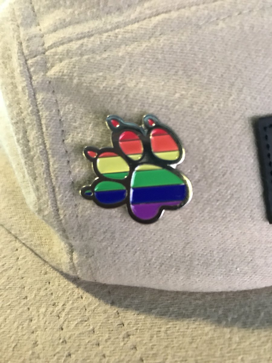 Copped this sweet pin in support of #PRIDE month.