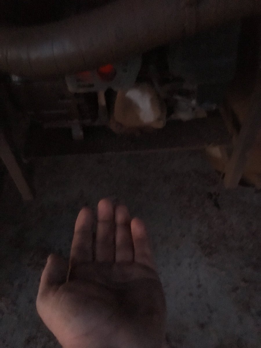 💩kicking gophers will understand.