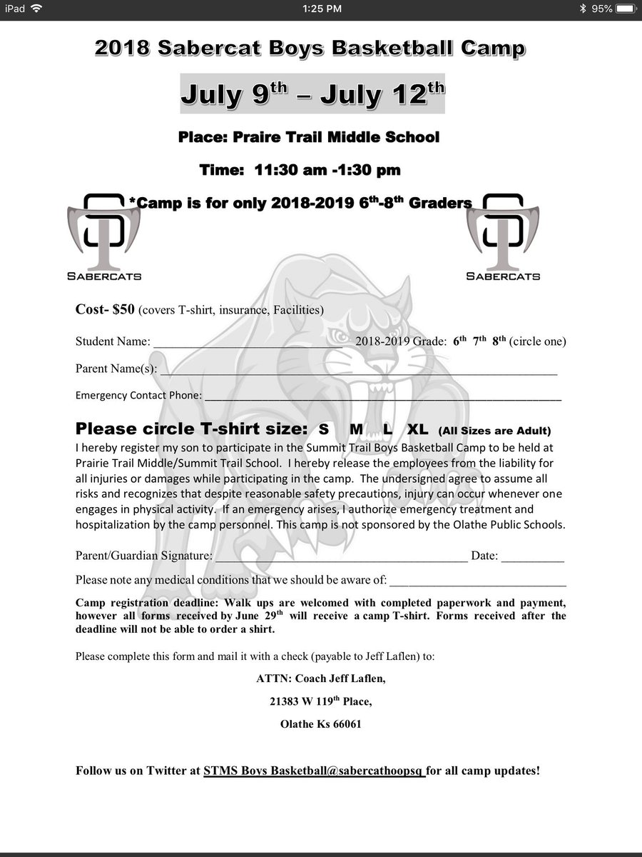 Screen shot of the camp flyer