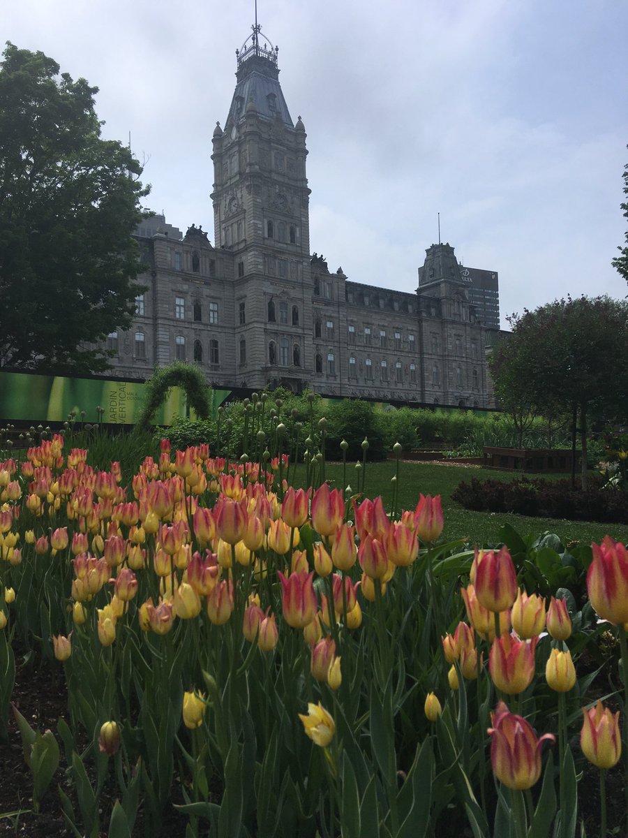 joannalh's tweet photo. A little fresh air to make room in my brain. #CPS95 https://t.co/gUB1i38Hqa