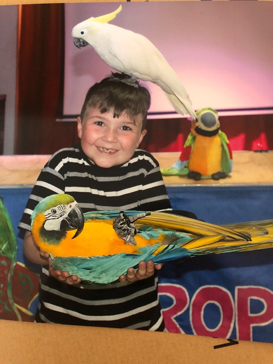 MastermindMaxK's tweet image. I’m having a fantastic break in Spain now #LittleBigShots is over for another year. I’ve even met some new friends! #spain #parrots #birds #wildlife #benidorm #science
