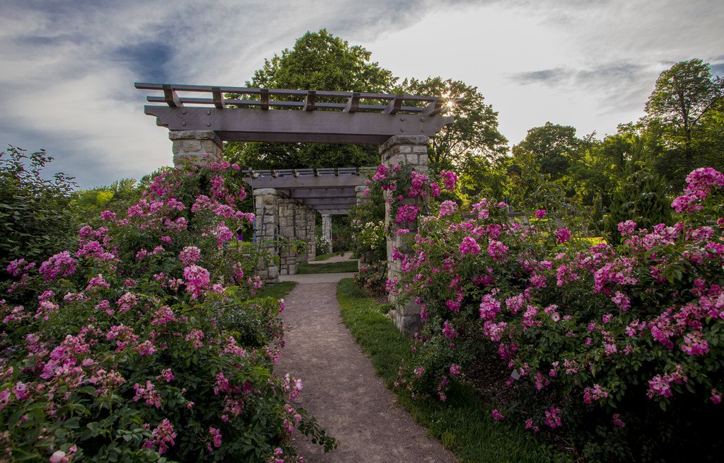 Central Standard On Twitter The Loose Park Rose Garden