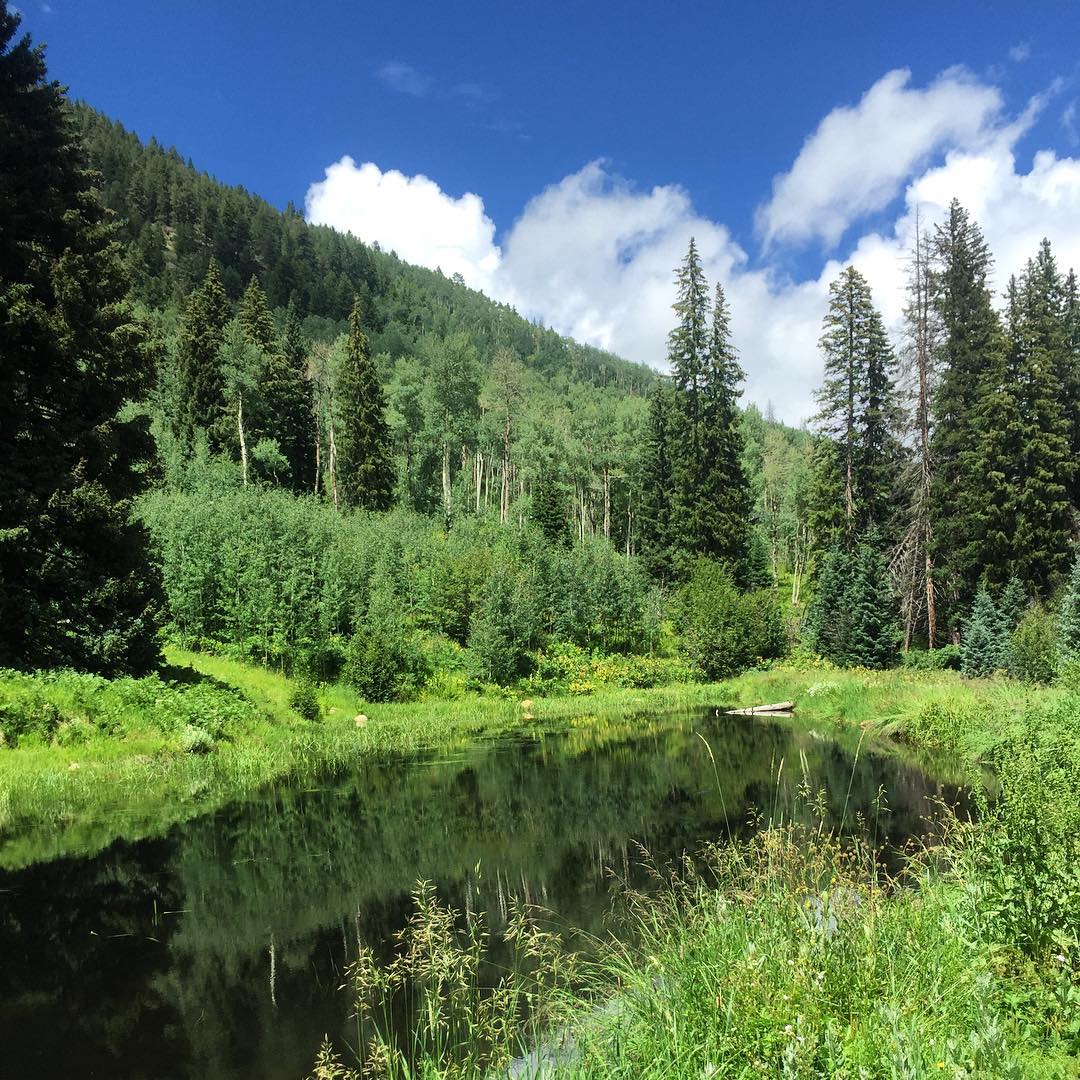 vailvalleyco's tweet photo. A beautiful day to explore Beaver Lake Trail with the family. I Photo: amandakuhlman https://t.co/J8ksRvtxUY