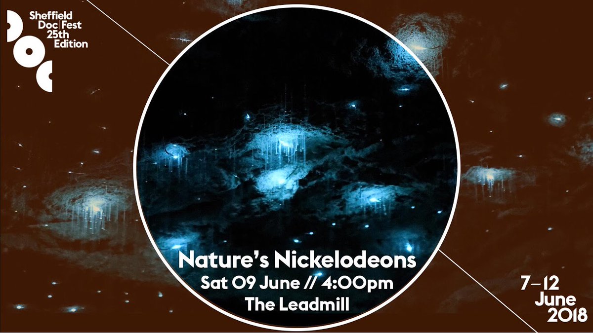 PASSENGERFILMS's tweet photo. We are delighted to be running this special event WORLD PREMIERE for the launch of @sheffdocfest! Sat 9th @Leadmill - a full-on concert, deconstructing &amp; re-animating THE NATURE DOCUMENTARY through live cinema! @livecinemauk https://t.co/SjAGopoP4f There will be bio-luminescence! https://t.co/C9HHKKdyyb