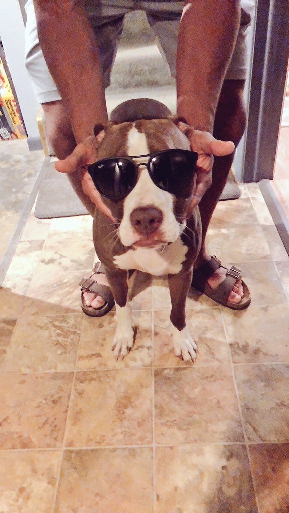 THAT FRIDAY MOOD 😎 #toocool #getmeoutofhere #ineedthesun