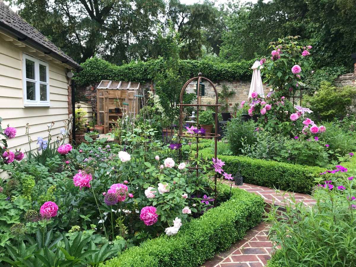 Aha, I'm ahead of the game and managed to cut my box hedging earlier this evening. Here it is, complete with roses and peonies. #GardenersWorld