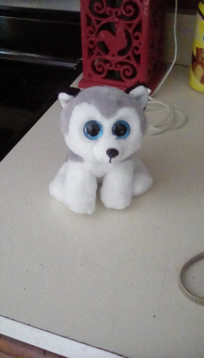 Persepineapple's tweet image. Just got this adorable little guy today!!! He's so soft and cute!!!! I couldn't help but name him Patton!!!! I feel like Patton would most definitely love him. @ThomasSanders