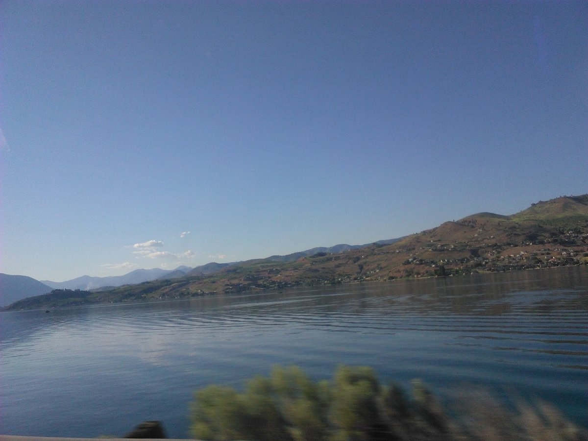 nip the tip (@iamhomosexy) on Twitter photo 