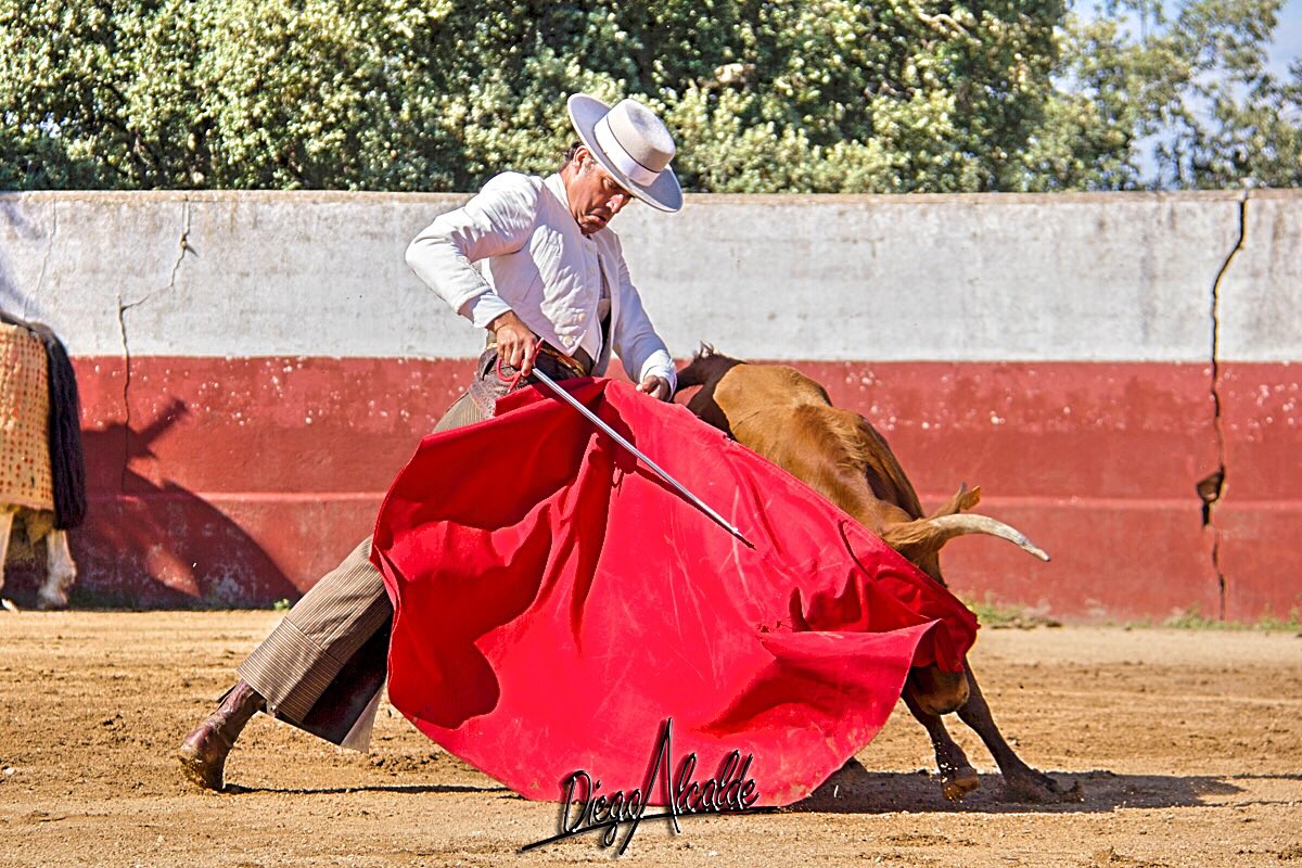 Ganaderia Carmen Valiente tweet media