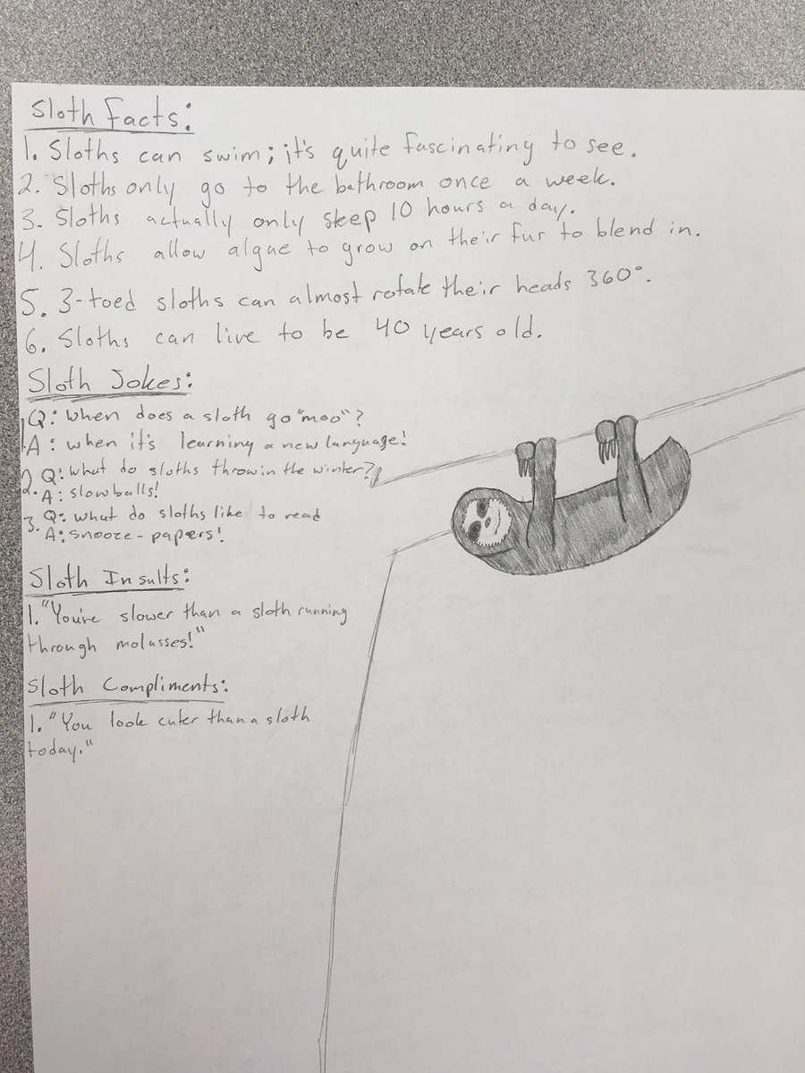marilynthemole's tweet photo. Last day of school! This made my day! #slothfacts #slothjokes!#slothinsults #slothcompliments https://t.co/FmgIXZWroL