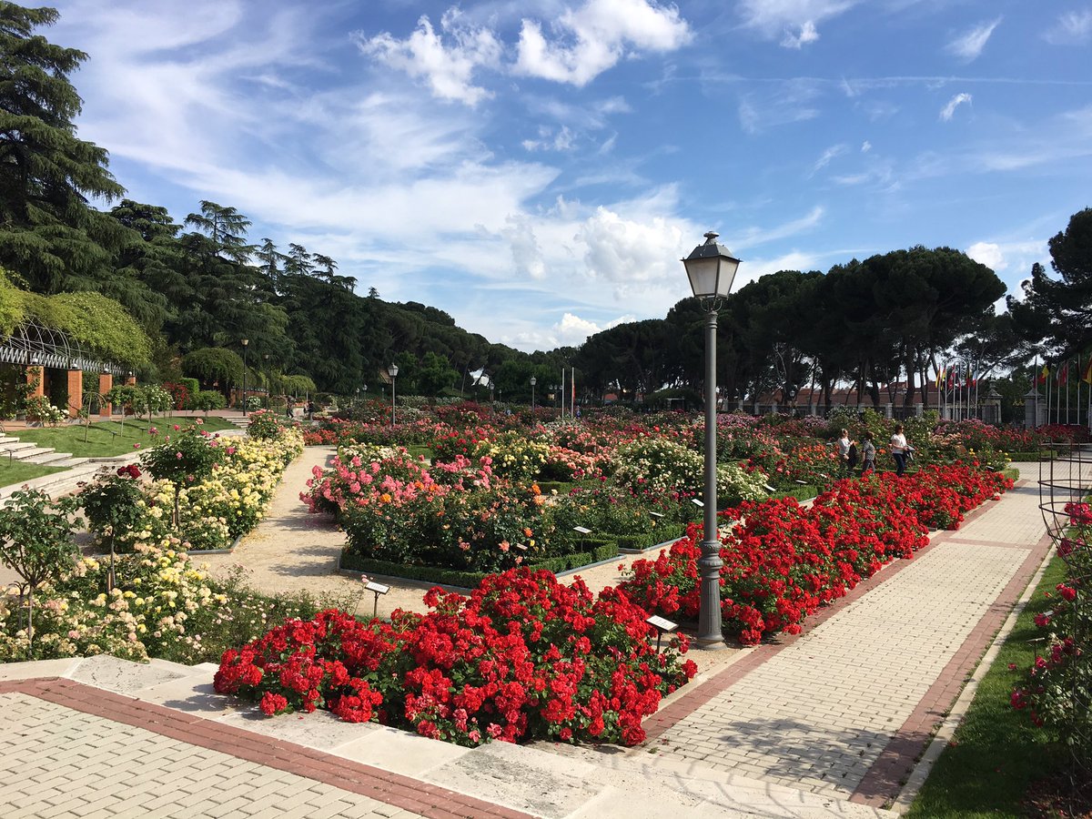 Genome_Guy's tweet photo. Madrid rose garden in full bloom. https://t.co/WsZO9L1itu