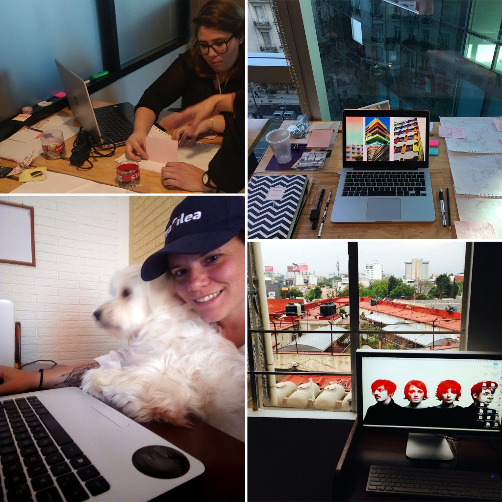 Trafilea tweet media