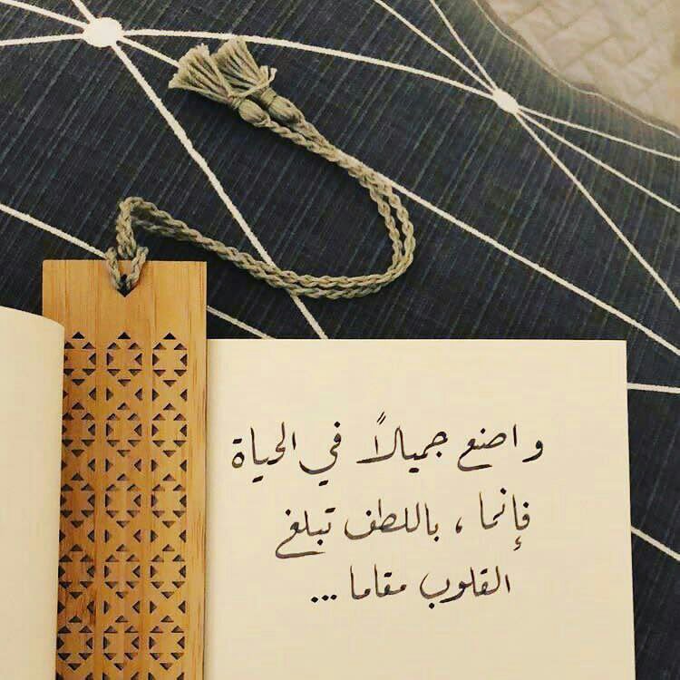 قمة الصبر..🌾
ان تصمت وفي
قلبك جرح يتكلم وقمة
القوة ان تبتسم وبعينك الف دمعة
واذا ارادت أن تحيا سعيدا فاربط حياتك
باهداف وليس باشخاص ولا تتخذ قرارات
وأنت في قمة الغضب ولا تعطي وعوودا وأنت
في قمة السعادة فمن ابتغي صديقا بلا عيب عاش
وحيدا ...🌾عاش وحيدا...🌾