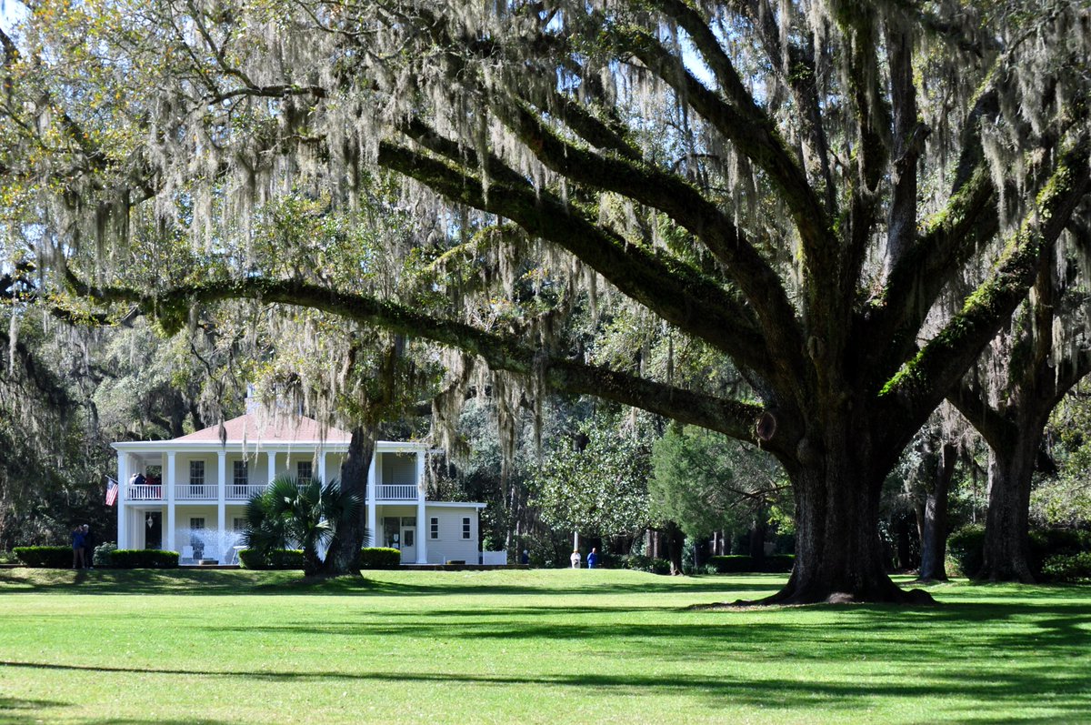 Florida State Parks On Twitter Dyk Eden Gardens State Park