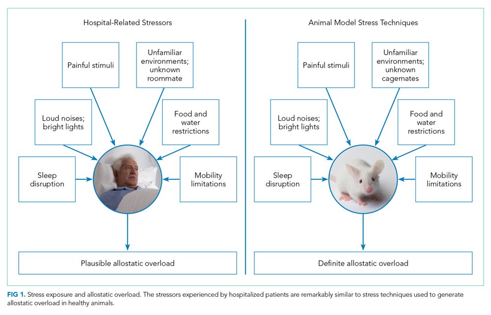 Important article highlights post-discharge vulnerability:
1 Sleep Disruption
2 Malnourishment
3 Mobility Restriction
4 Other Stressors
5 Allostatic Overload
It also suggests interventions that might improve outcomes.
journalofhospitalmedicine.com/jhospmed/artic… …  x.com/PaulSaxMD/stat…