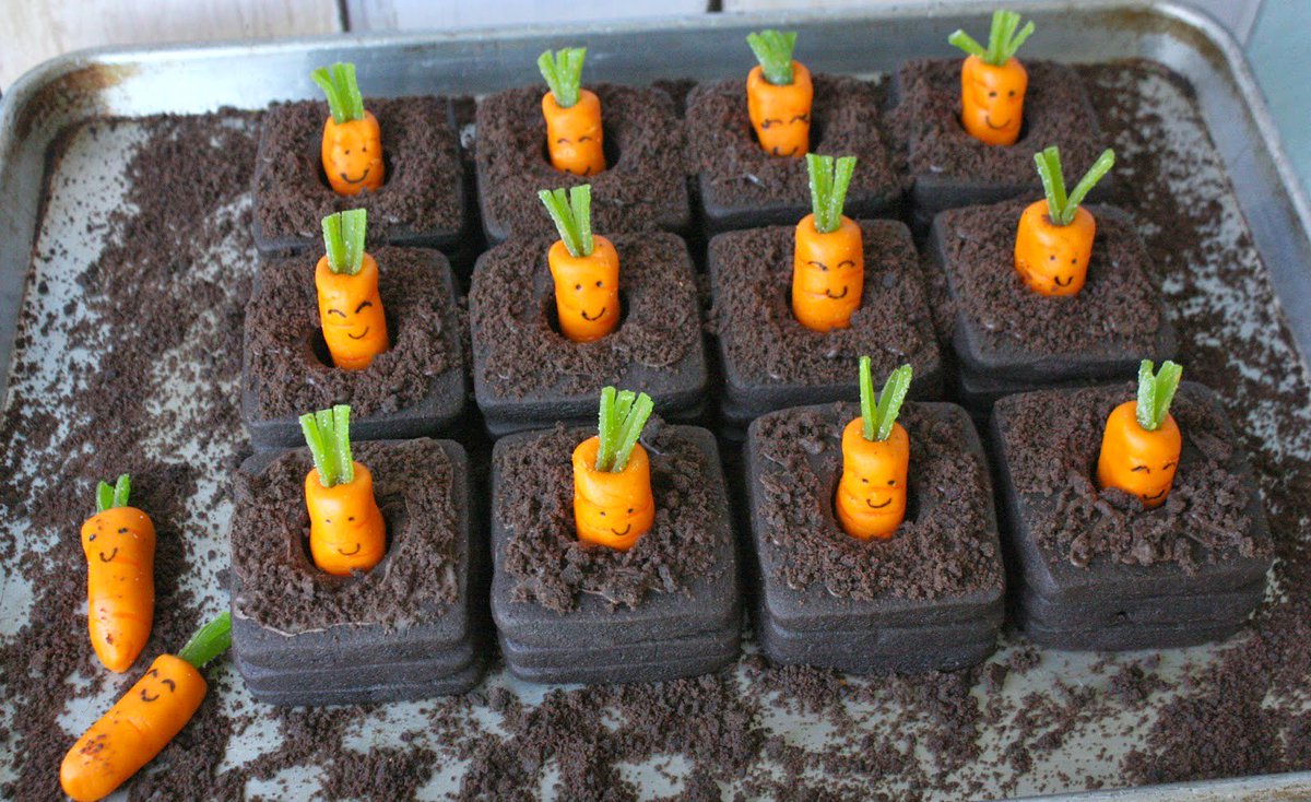 TheCarrotParty's tweet image. We want Carrots to be this happy all over the world! #CarrotRights #CarrotsRule #KeithRules #Trump