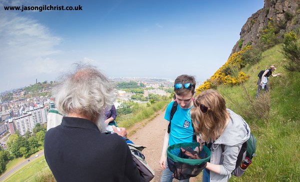 jgilchrist13's tweet photo. Lacewings & relatives workshop w @BuglifeScotland today @ Holyrood Park, Edinburgh. Taxonomy, ecology & sampling w @Ally_Lemon & enthusiastic team in search 4 Neuroptera.
#Neuroptera #insect #entomology #outdoorlearning #HolyroodPark #Edinburgh #TeamNeuroptera #taxonomy #lacewing https://t.co/Kk2U2SRemO