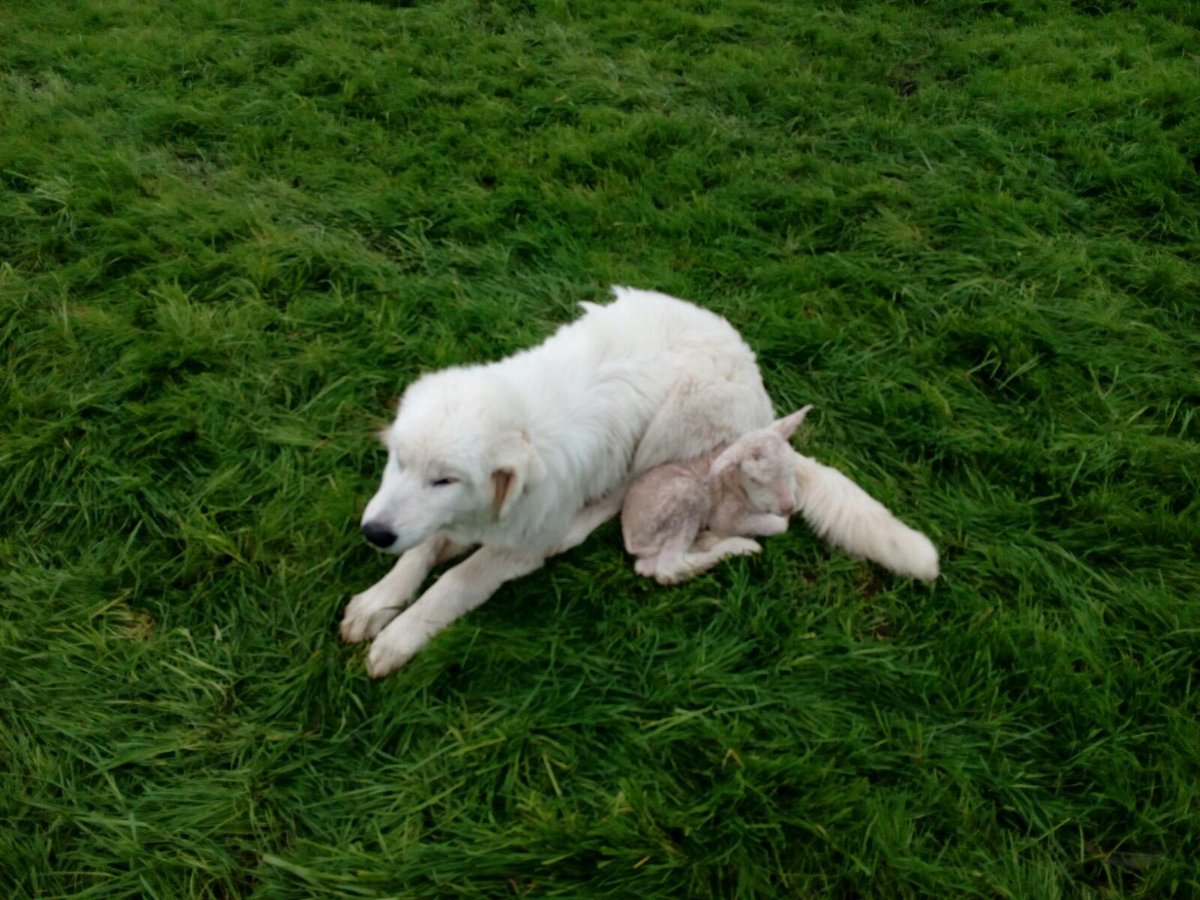 Ethel Barrios Piriz tweet media