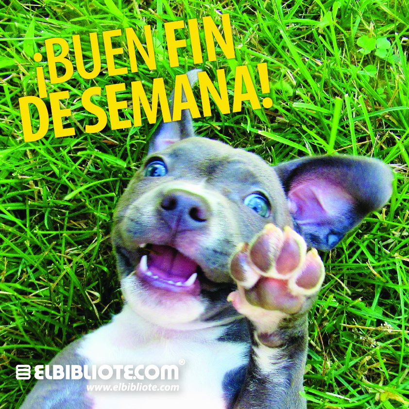 Elbibliotecom's tweet photo. ¡Que disfruten el #FinDeSemana! https://t.co/AXkgWLXEqZ