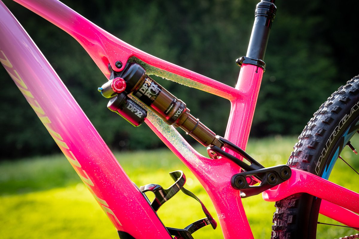 pink stumpjumper