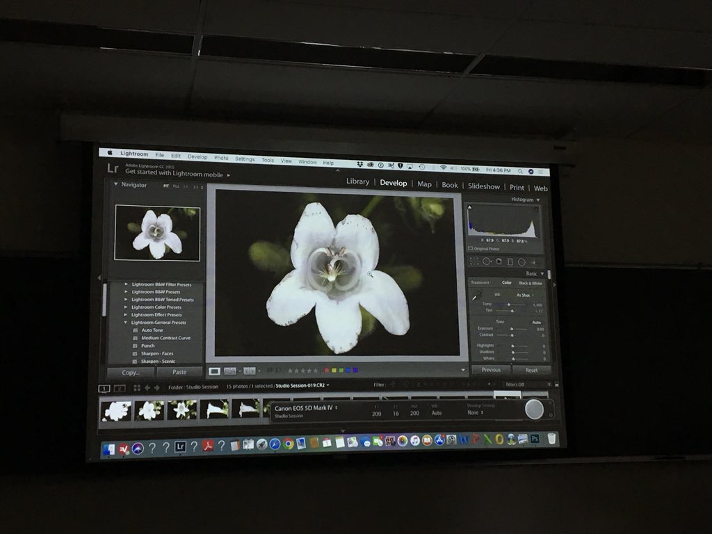 This photography workshop with @andiwolfe has been amazing! As a novice smartphone photographer I have learned bunches about how to better communicate science to the public. Here is a shot of #penstemon I took using Andi’s macro setup #ssb_2018