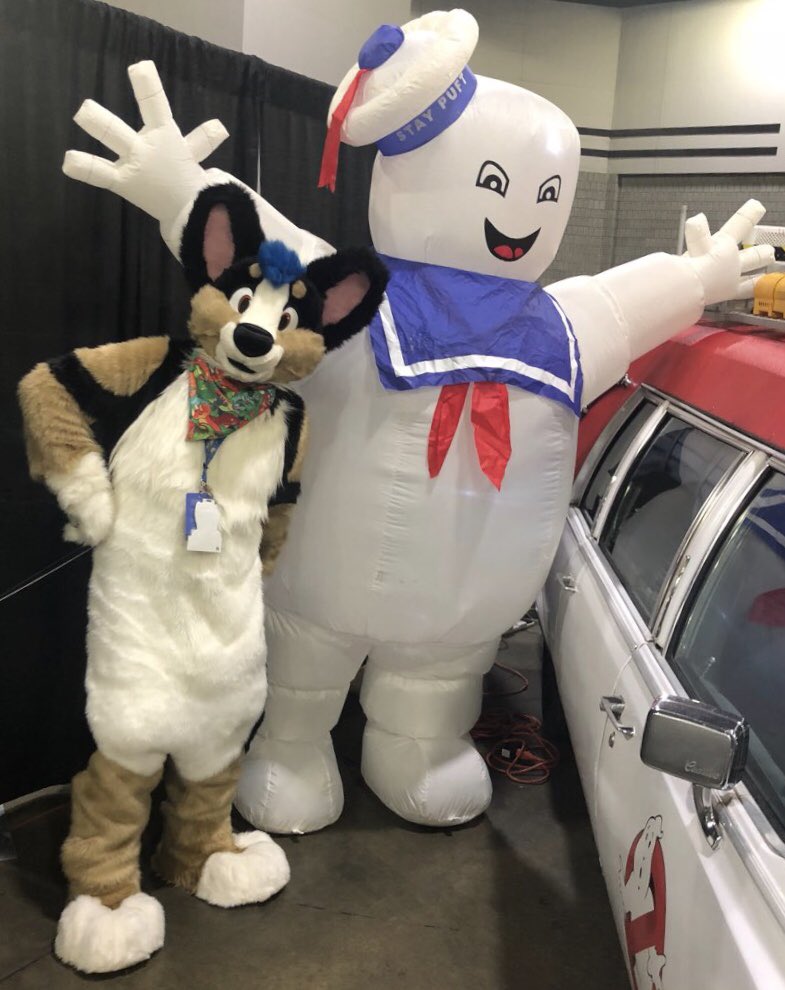 JonasCorgi's tweet photo. If there's something strange in your neighborhood, who you gonna call? Nub Busters!  #FursuitFriday #Momocon2018 https://t.co/S3M88RUgU8
