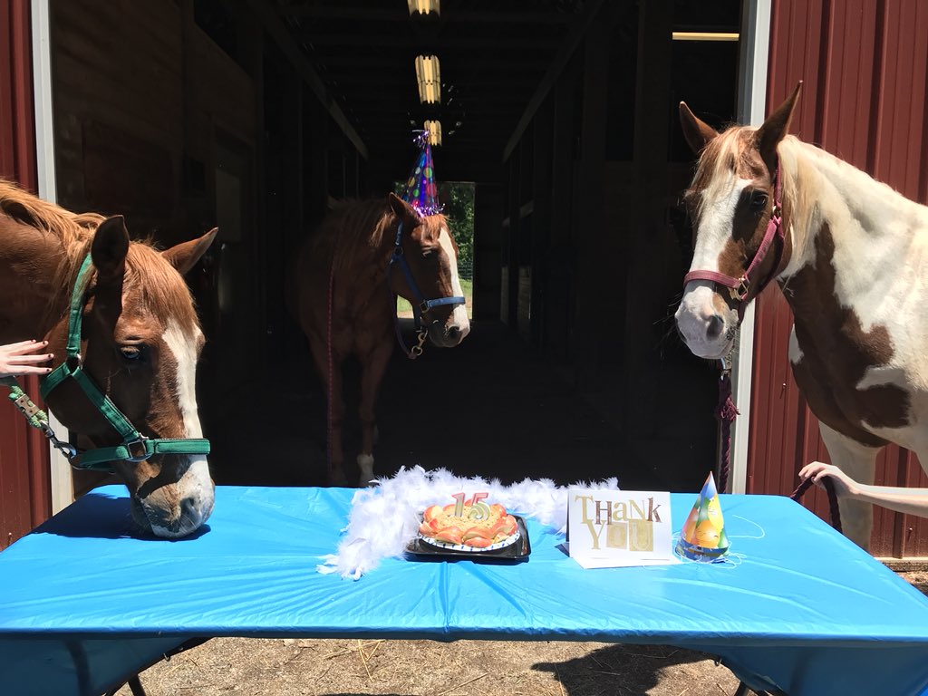 mikenzly's tweet image. What better way is there to spend the last day of high school than throwing a horse retirement party?