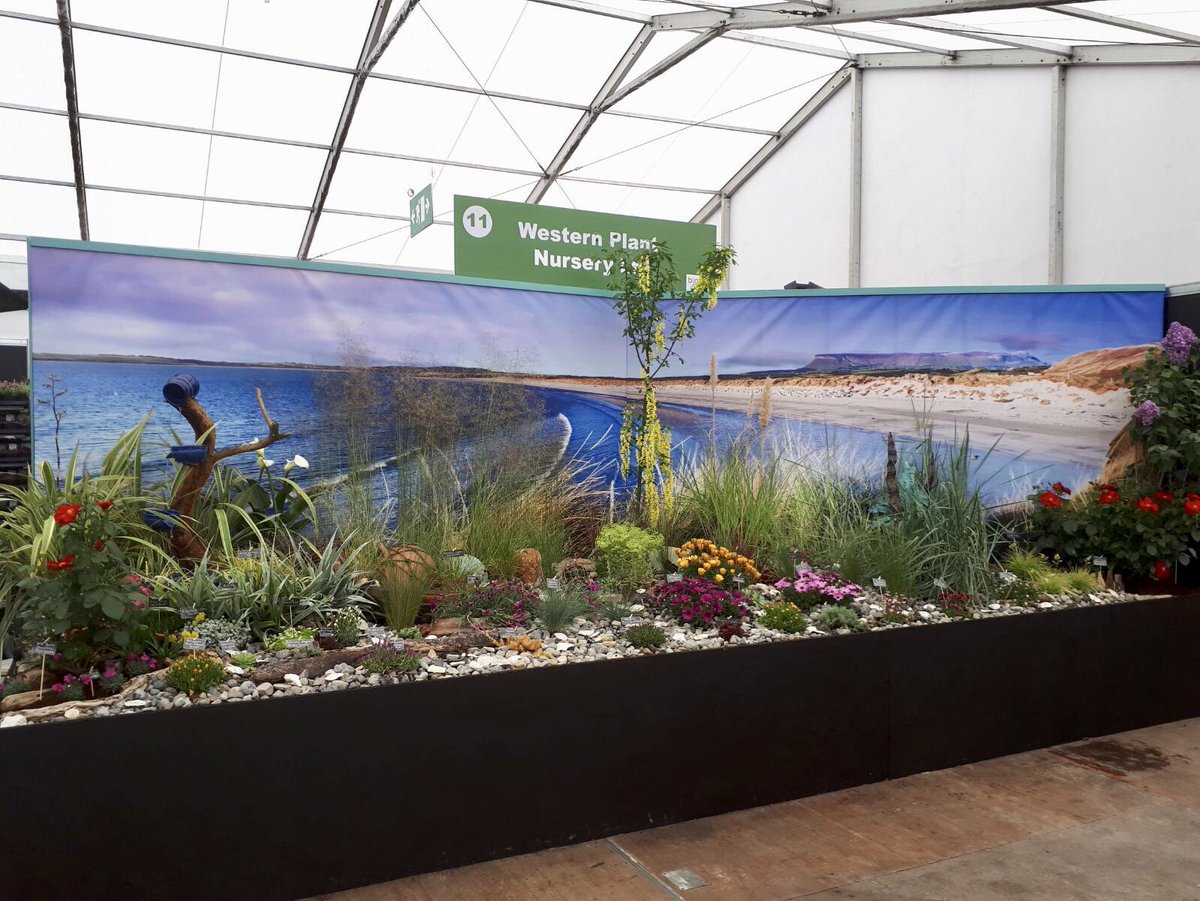 Ireland In Focus tweet media