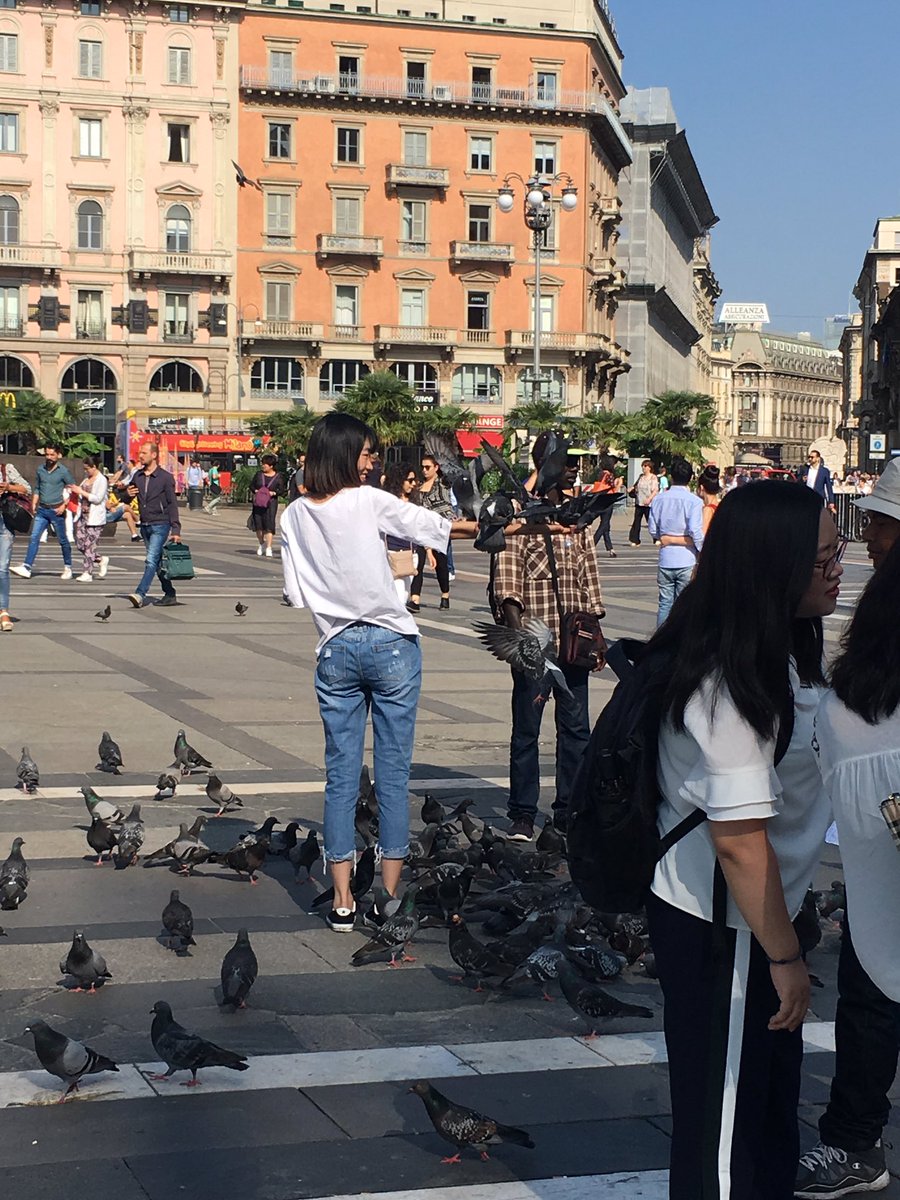 dpetersen0202's tweet photo. people were walking around handing out bird food so people could take pictures with bird on their arms. this is very unsanitary because birds could have diseases that spread to humans and/or they could poop on you. #HLTLuwlax #dolcevita2018 @uwldolcevita https://t.co/QhpN1Pnbpn