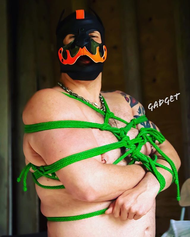 PupGadget's tweet photo. All tied up by @therealwerelwolf! Photo thanks to @pupyukai #me #pupgadget #alphagadget #alphapup #alphapupgadget #vanpah #shadowfallscamp #bondage https://t.co/coBgDZgFBE https://t.co/MjaGqWiFAg