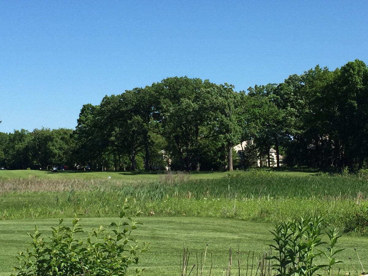 Great day for golf! Thanks to the sponsors and golfers for supporting our Blue Devil Athletic Boosters outing today!