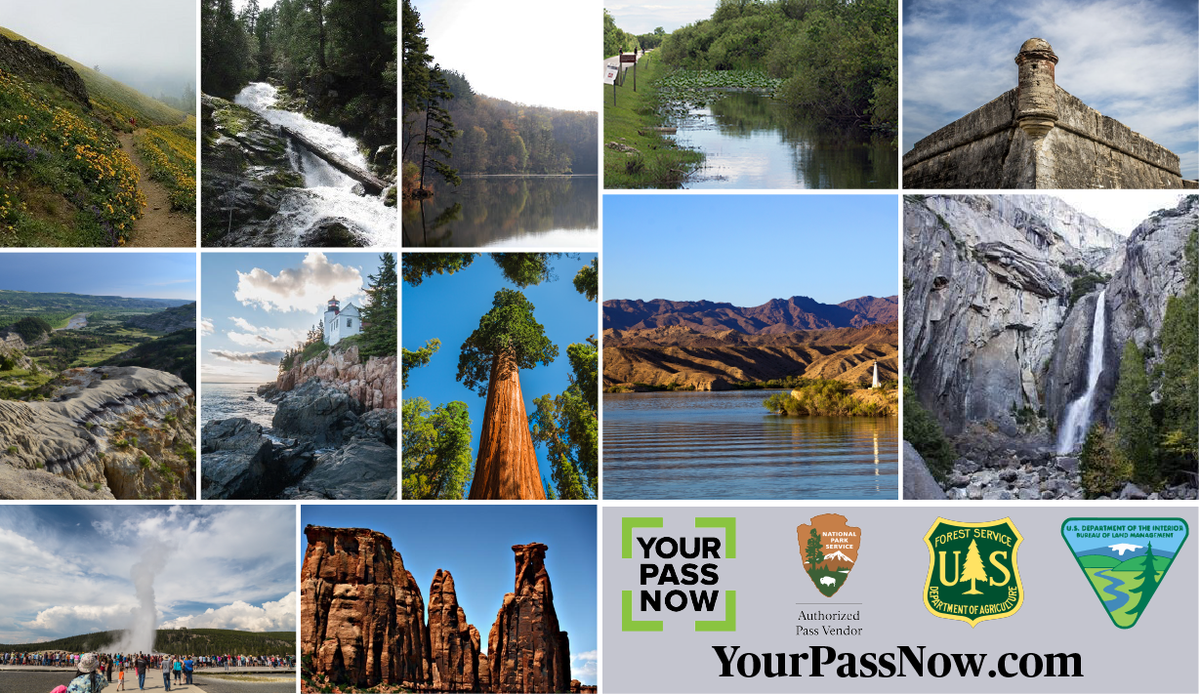 YourPassNow tweet media