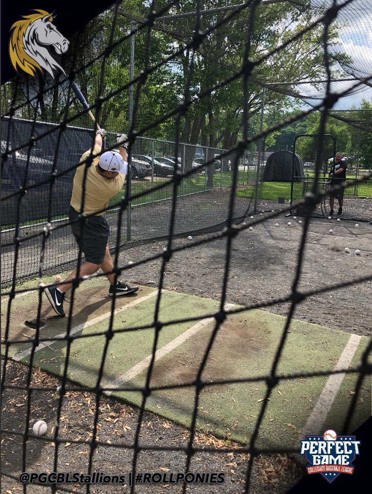 PGCBLStallions's tweet photo. Pre-game batting practice is underway ahead of tonight’s #PGCBLOpeningDay matchup between the @GFDragons and your #Stallions at 7:05 pm. #RollPonies #PGBCL https://t.co/CoYBpcO5ZR