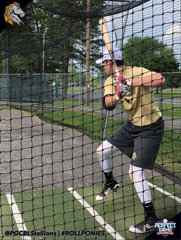 PGCBLStallions's tweet photo. Pre-game batting practice is underway ahead of tonight’s #PGCBLOpeningDay matchup between the @GFDragons and your #Stallions at 7:05 pm. #RollPonies #PGBCL https://t.co/CoYBpcO5ZR