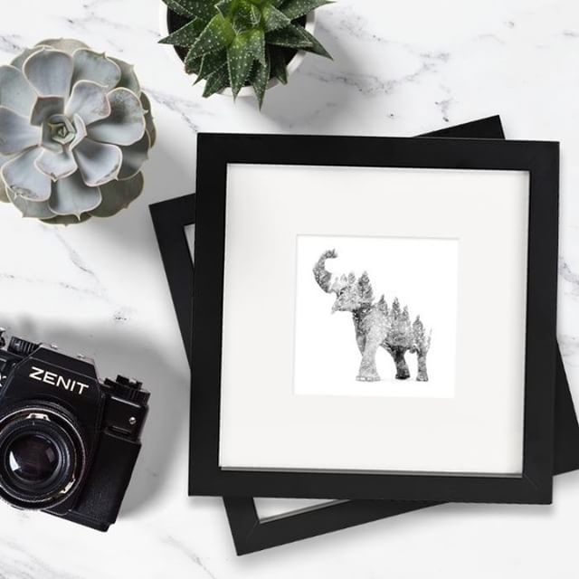 TinyMightyFrms's tweet image. Talent is not meant to be hidden, it is meant to be seen. Show off your work in one of our lovely frames ;) .
.
.
.
#miniart #whiteframes #art #painting 🎨#frameworthy #instartists #artistsofinstagram #frameworthy #localartistsrock  #originalartwork #… bit.ly/2Jp2o27